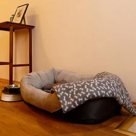 Kosbor Panzio 3* Magyarszombatfa