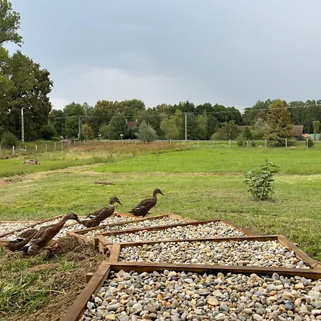 Kosbor Panzió Magyarszombatfa