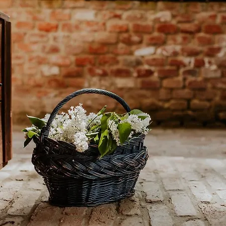 Bed & Breakfast Kosbor Panzio