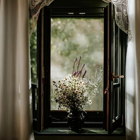 Kosbor Panzio Magyarszombatfa